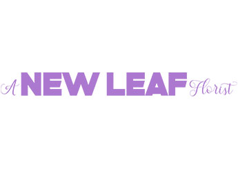 A New Leaf Florist Inc