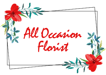All Occasion Florist