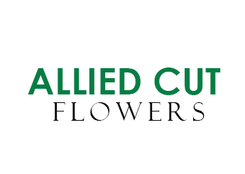 Allied Cut Flowers