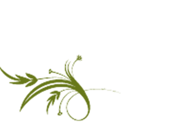 An Elegant Affair