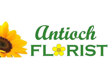 Antioch Florist