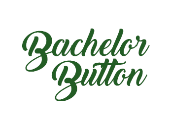 Bachelor Button