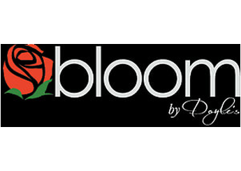 Bloom By Doyle's