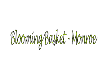 Blooming Basket - Monroe