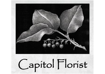 Capitol Florist