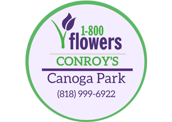 Conroy's Flowers