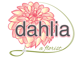 Dahlia A Florist