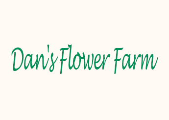 Dan's Flower Farm