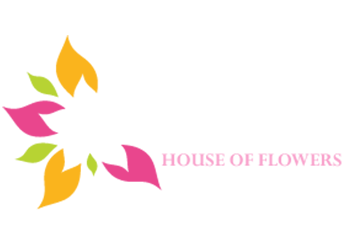 Delicate Daisy House Flowers