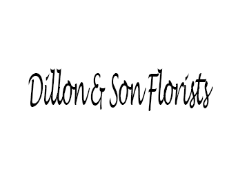 Dillon & Son Florists
