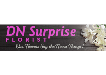 Dn Surprise Florist And Gifts