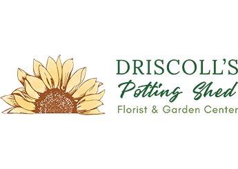 Driscoll's Potting Shed