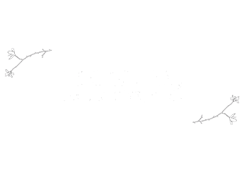 Flowers, Balloons, Etc