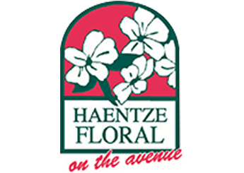 Haentze Floral Co