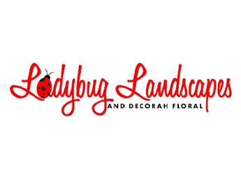Ladybug Landscapes and Decorah Floral
