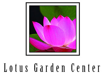 Lotus Garden Center