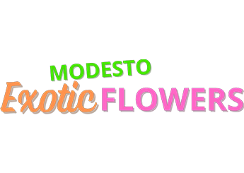 Modesto Exotic Flowers