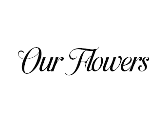Our Flowers