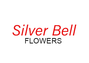 Silver Bell Flowers