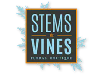 Stems & Vines Floral Boutique - Burnsville