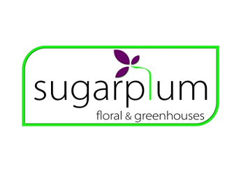 Sugarplum Floral