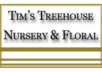 Tim's Tree House Floral