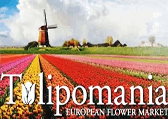 Tulipomania LLC