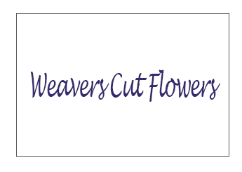 Weavers Cut Flowers