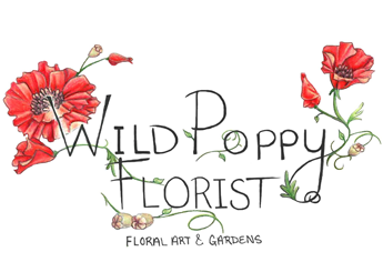 Wild Poppy Florist