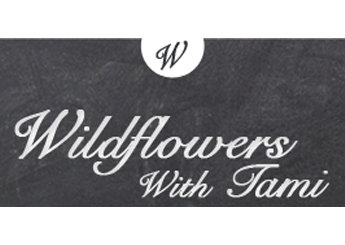 Wildflowers With Tami