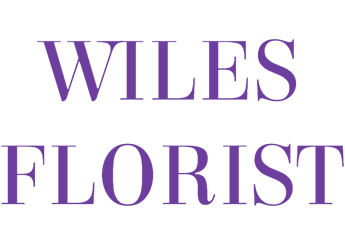 Wiles Florist