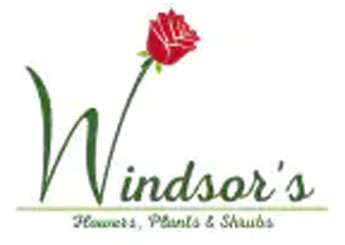 Windsor's Flowers, Plants, & Shrubs