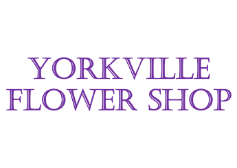 Yorkville Flower Shoppe