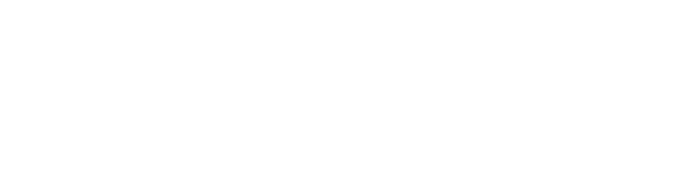 Food King Logo