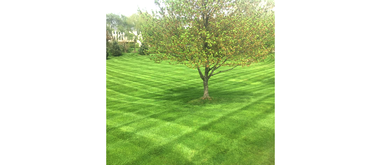 Lindsey Landscapes Fawn Grove, PA 4432069581 City to City Market