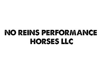 No Reins Performance Horses LLC Logo