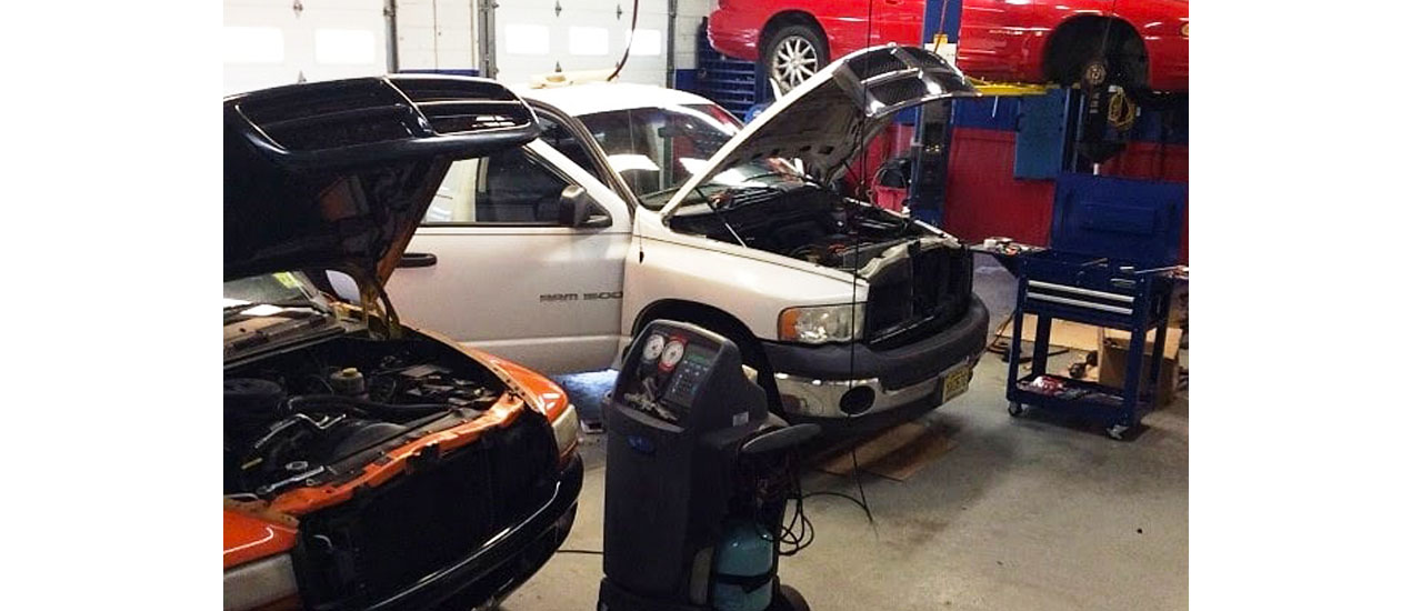 TCR Warehouse Palmyra, NJ 8568290204 City to City Market